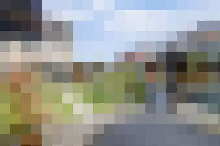 Prins Clausstraat 7 's-Gravenzande thumbnail 35