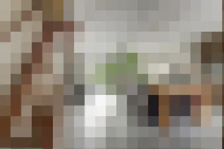 Prins Clausstraat 7 's-Gravenzande thumbnail 8