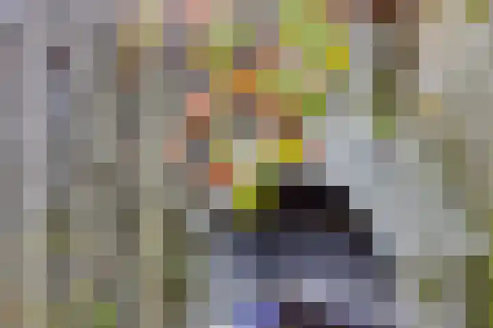 Prins Clausstraat 7 Terborg thumbnail 15