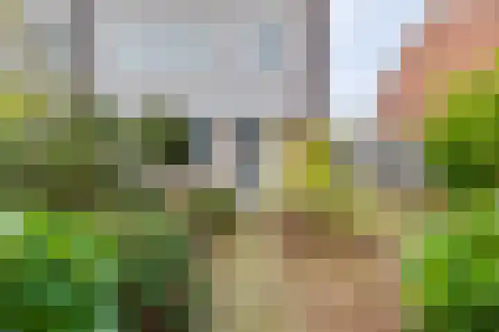 Prins Clausstraat 7 Terborg thumbnail 4