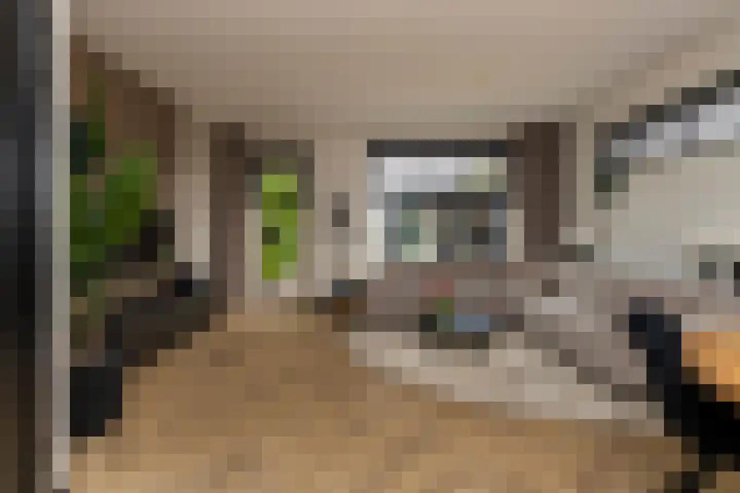 Prins Clausstraat 70 Wateringen thumbnail 14