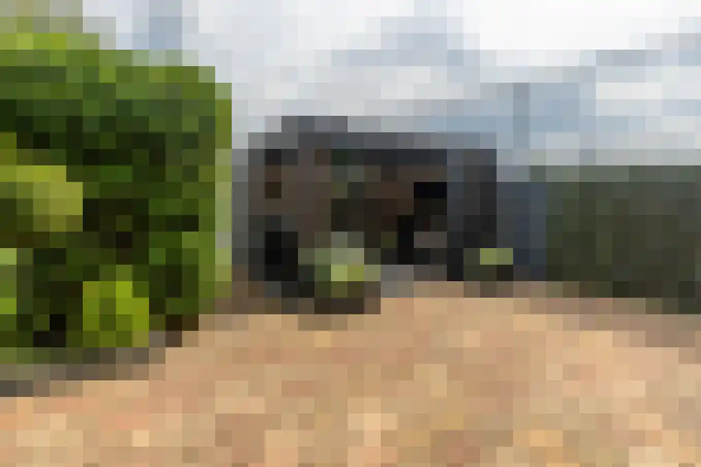 Prins Clausstraat 70 Wateringen thumbnail 17