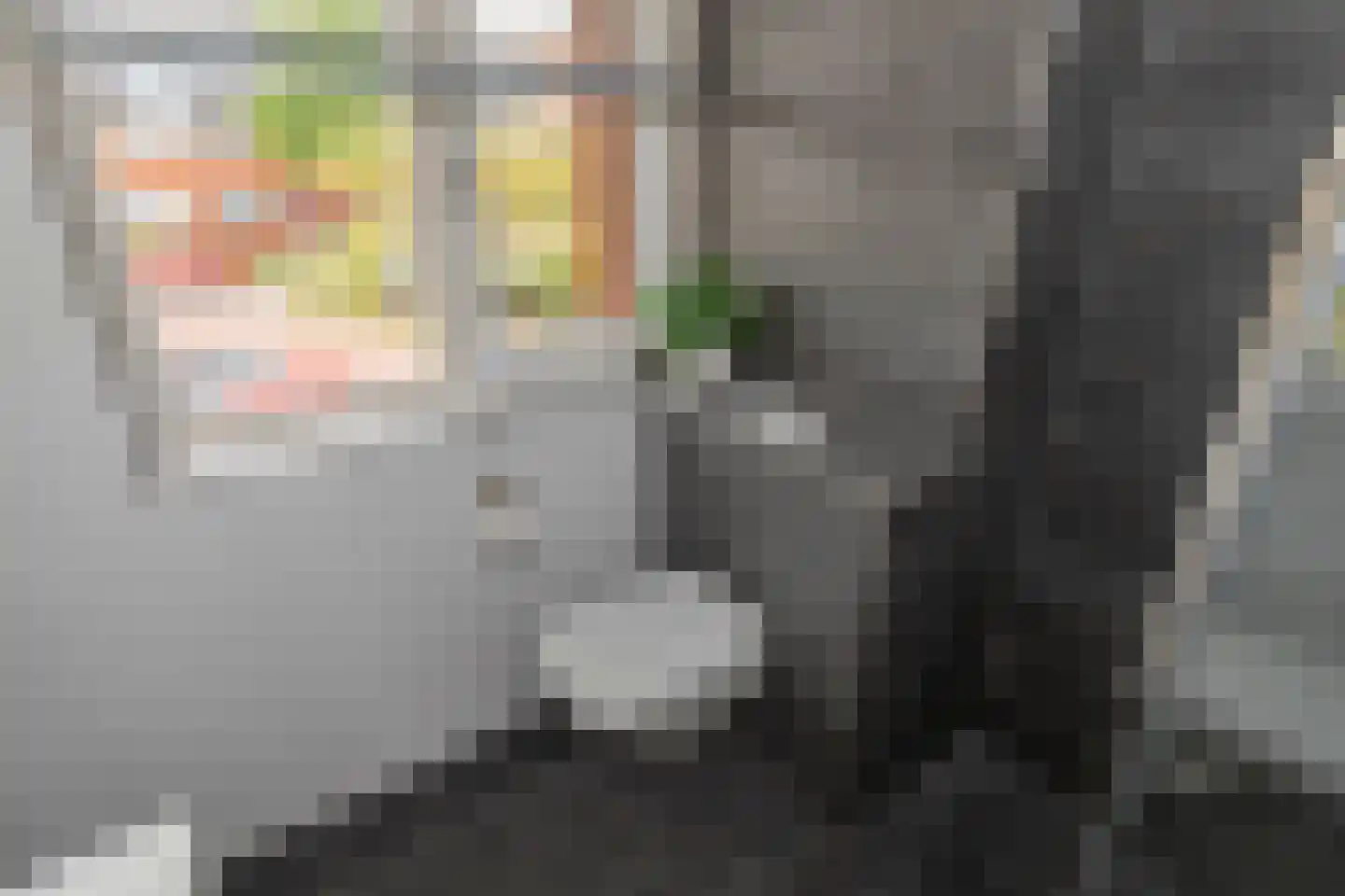 Prins Clausstraat 70 Wateringen thumbnail 22
