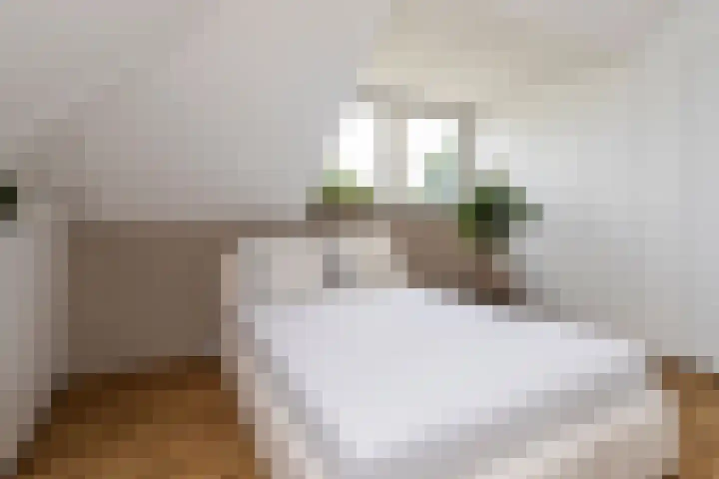 Prins Clausstraat 70 Wateringen thumbnail 30