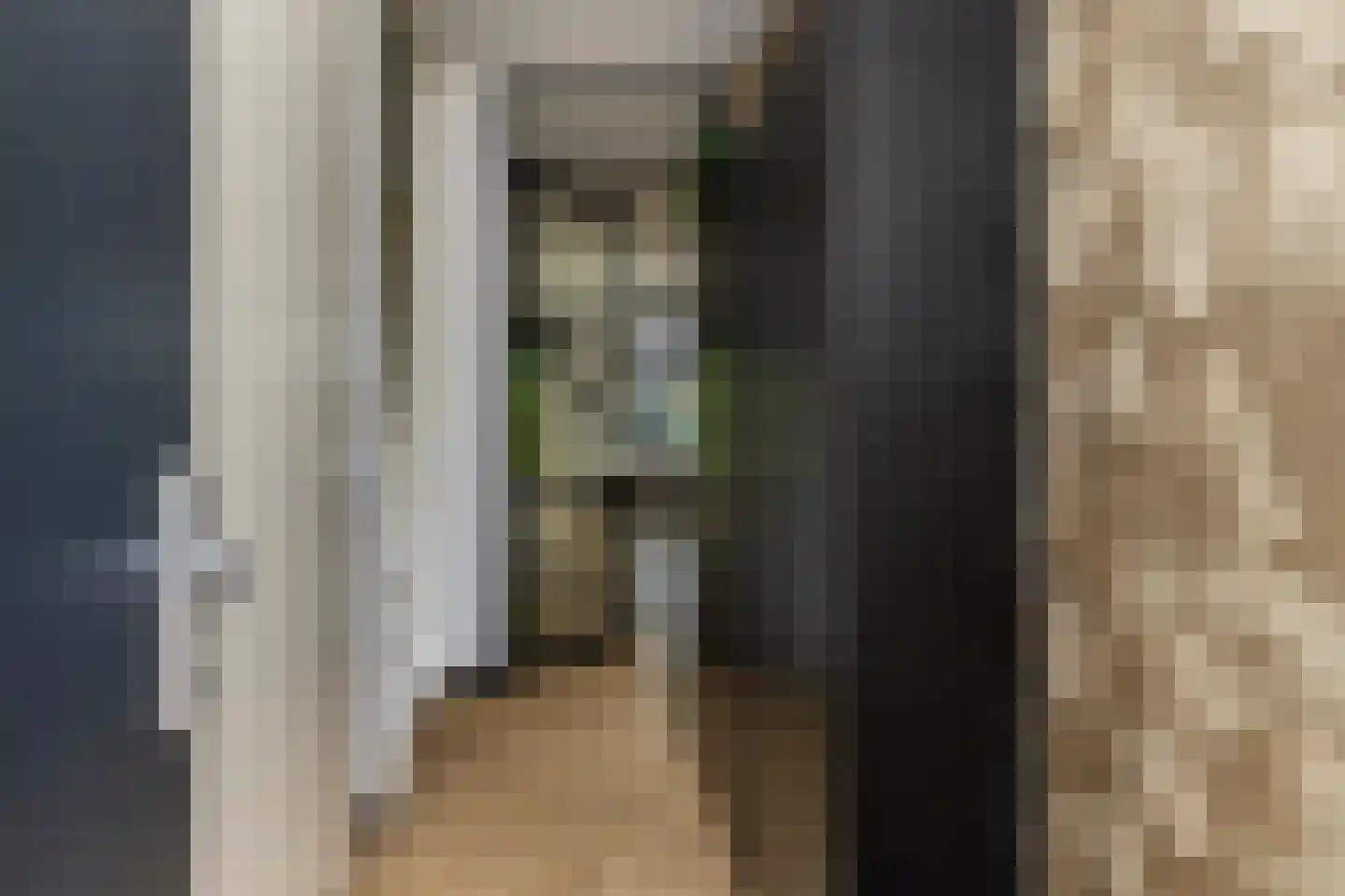 Prins Clausstraat 70 Wateringen thumbnail 6