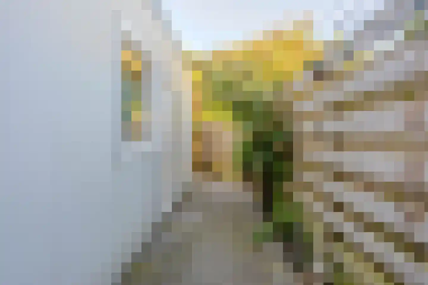 Prins Clausstraat 73 Smilde thumbnail 35