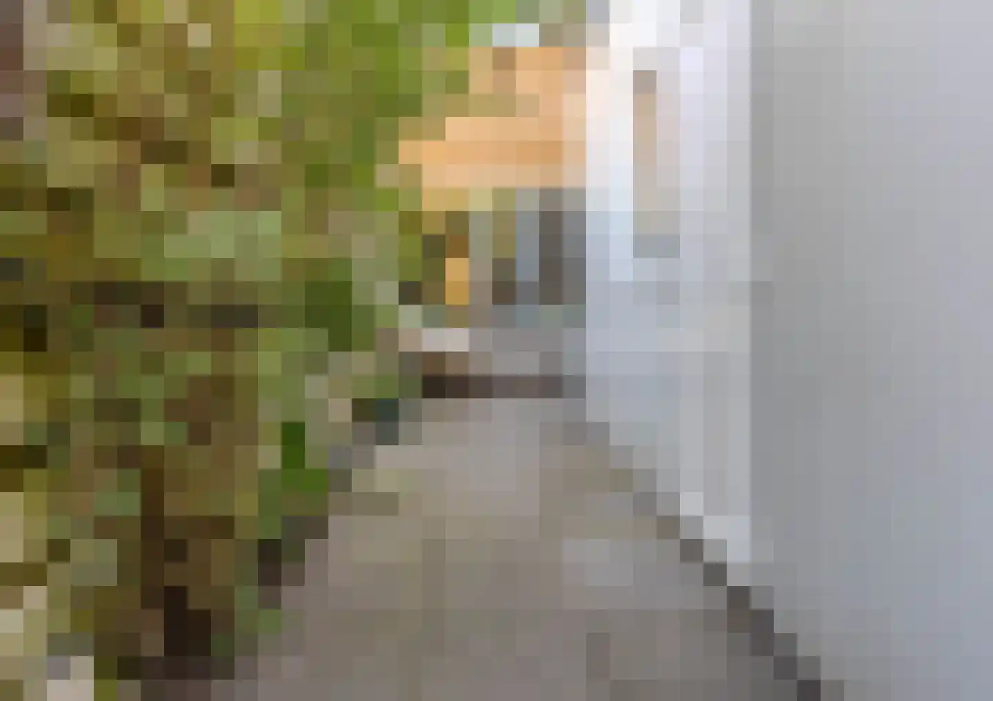 Prins Clausstraat 73 Smilde thumbnail 36