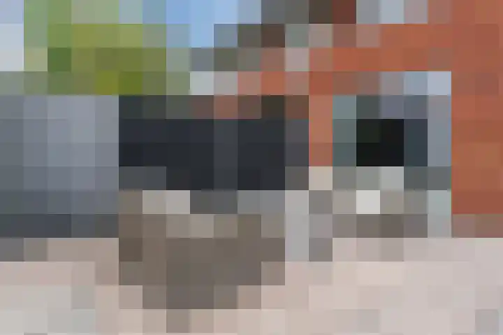 Prins Clausstraat 79 Wateringen thumbnail 48