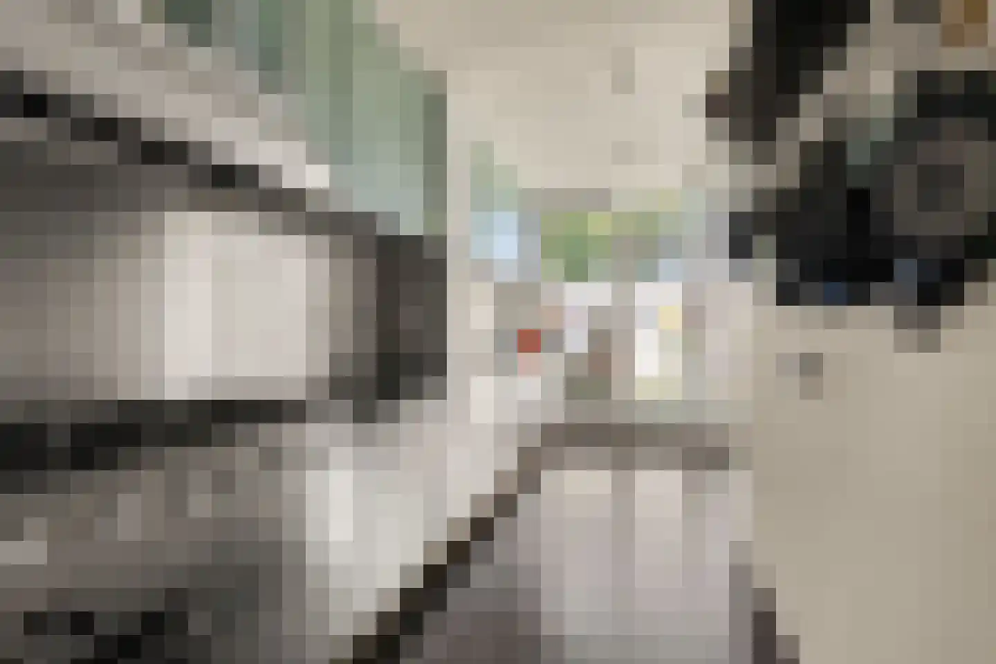 Prins Clausstraat 8 Benthuizen thumbnail 11