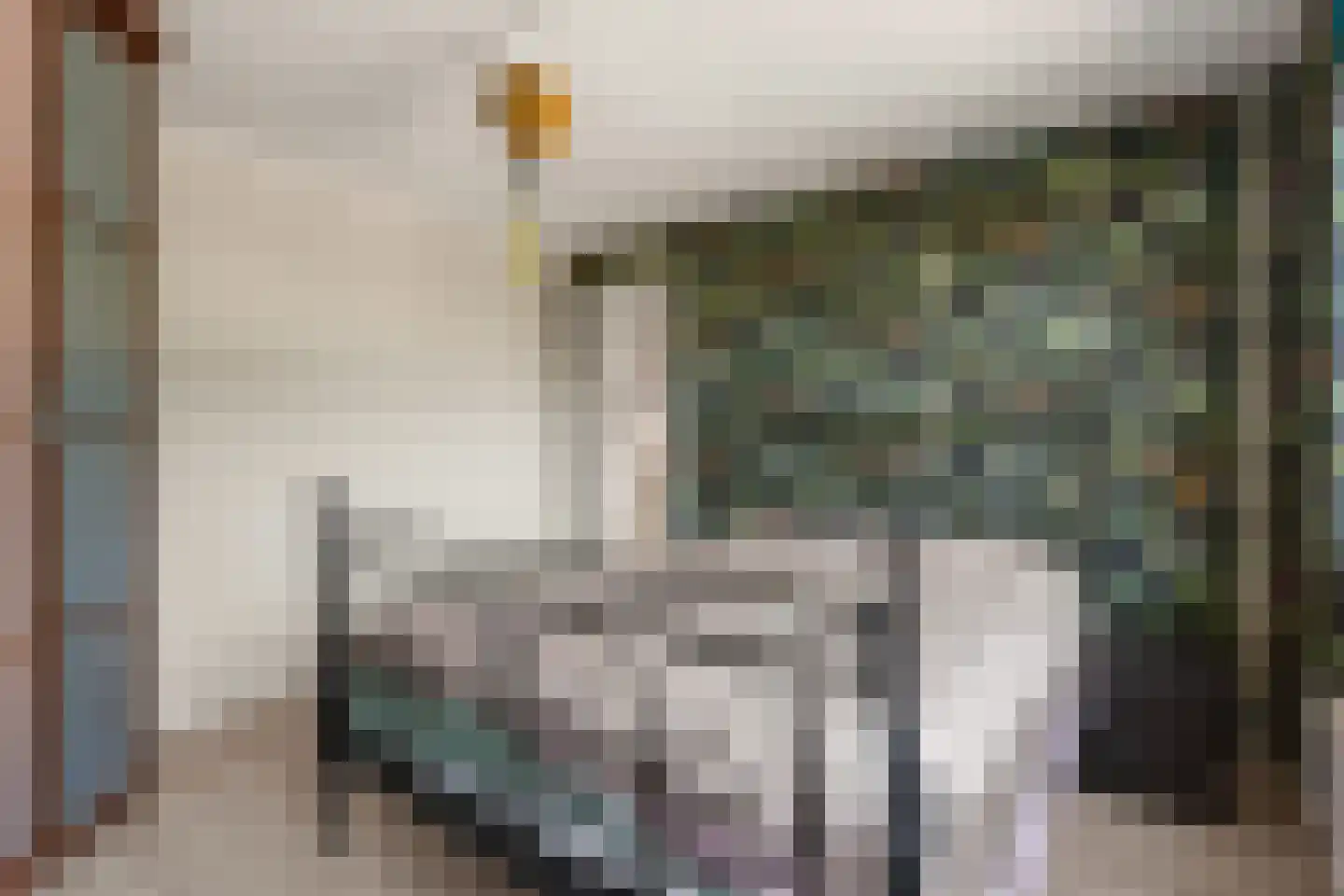 Prins Clausstraat 8 Benthuizen thumbnail 16
