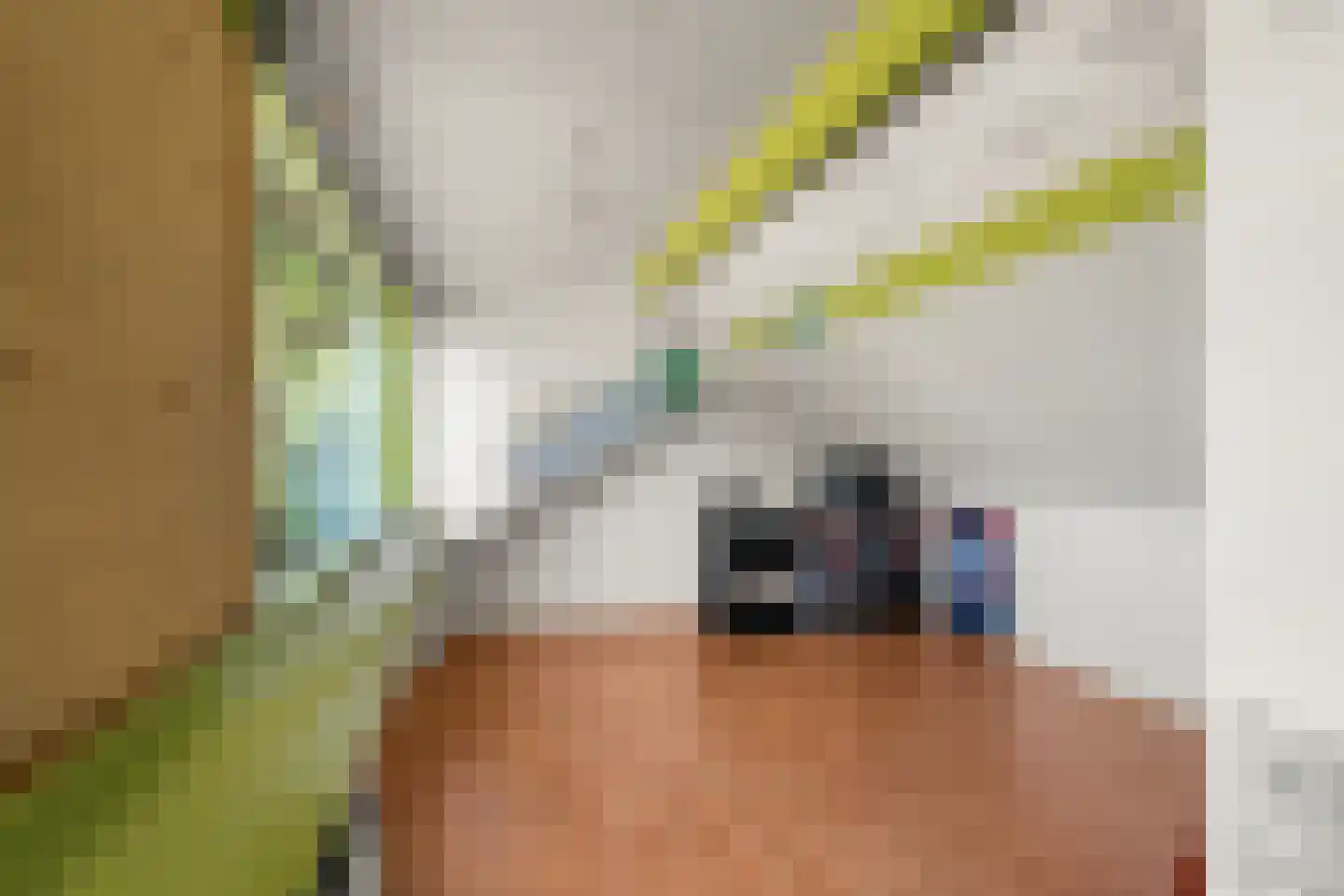 Prins Clausstraat 8 Benthuizen thumbnail 20