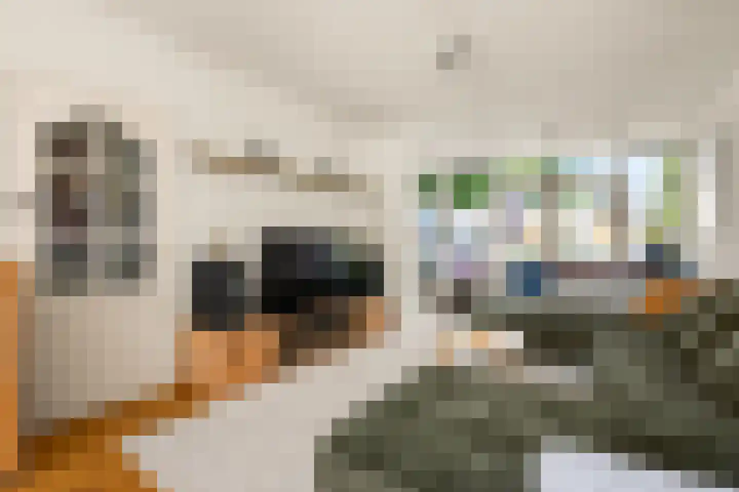 Prins Clausstraat 8 Benthuizen thumbnail 8