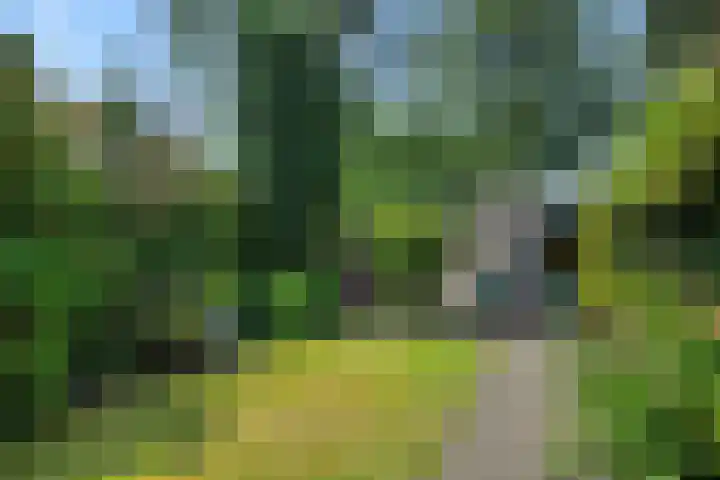 Prins Clausstraat 8 Rosmalen thumbnail 22