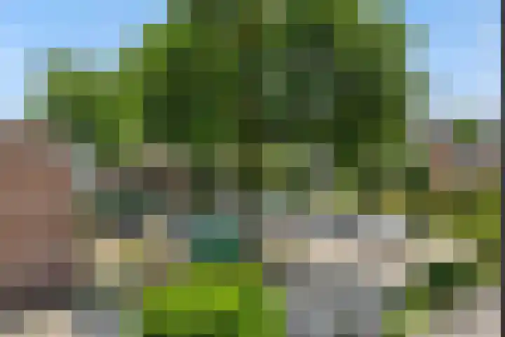 Prins Clausstraat 8 Rosmalen thumbnail 26