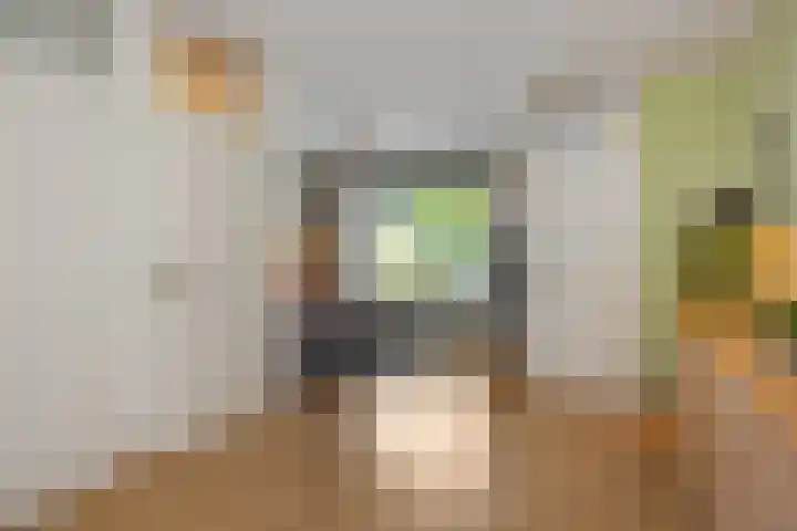Prins Clausstraat 8 Rosmalen thumbnail 5