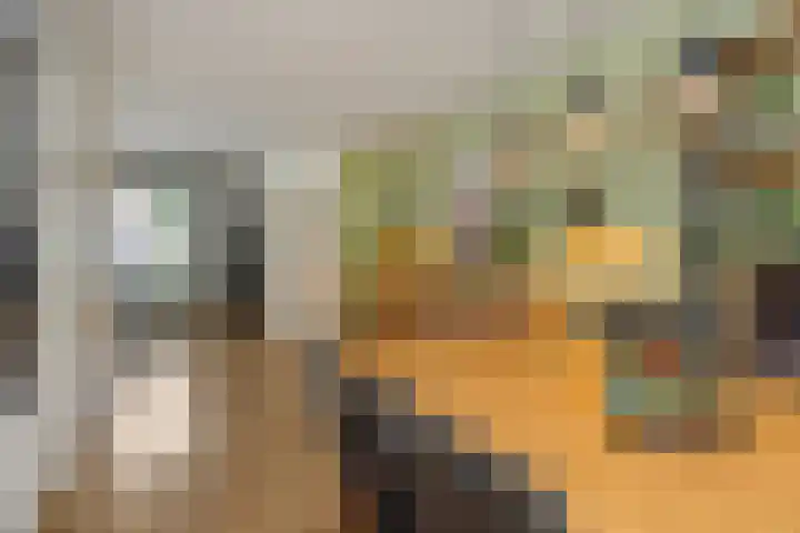 Prins Clausstraat 8 Rosmalen thumbnail 8