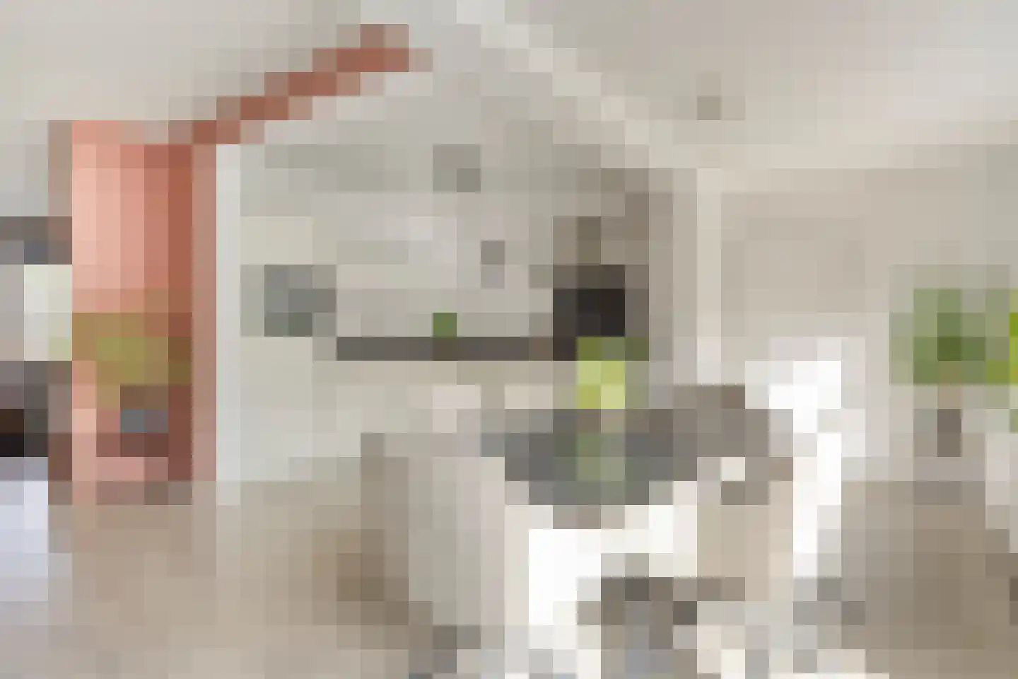 Prins Clausstraat 8 Smilde thumbnail 4