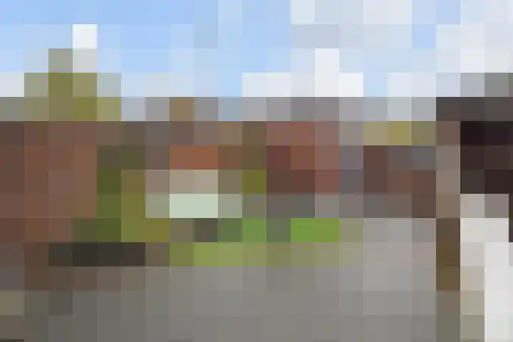 Prins Clausstraat 82 Wateringen thumbnail 36