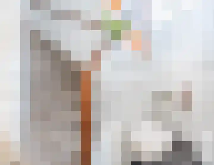Prins Clausstraat 90 Vroomshoop thumbnail 13