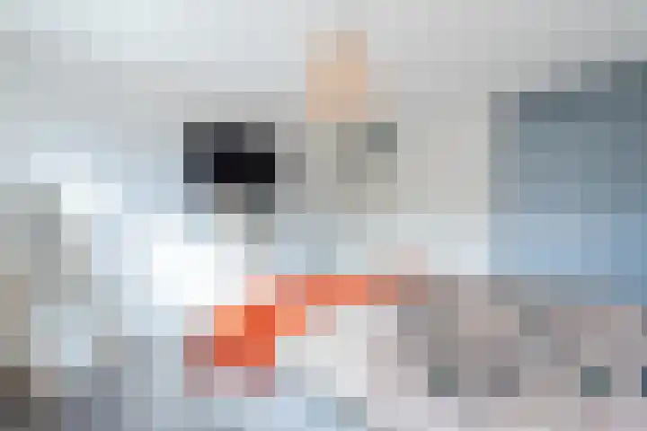 Prins Clausstraat 90 Vroomshoop thumbnail 15