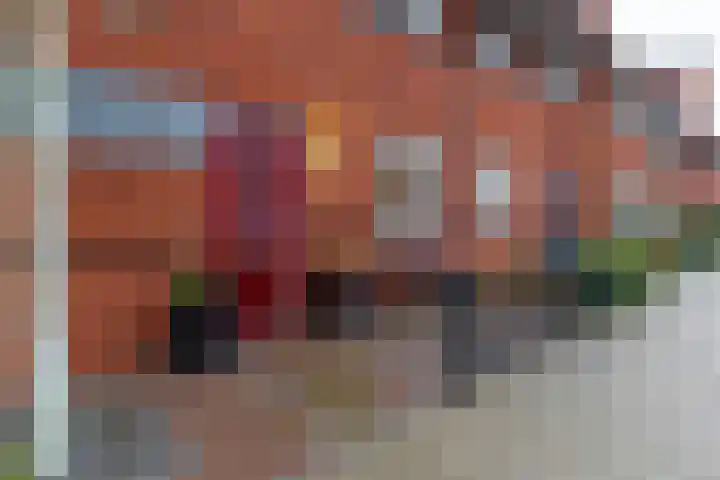 Prins Clausstraat 90 Wateringen thumbnail 40