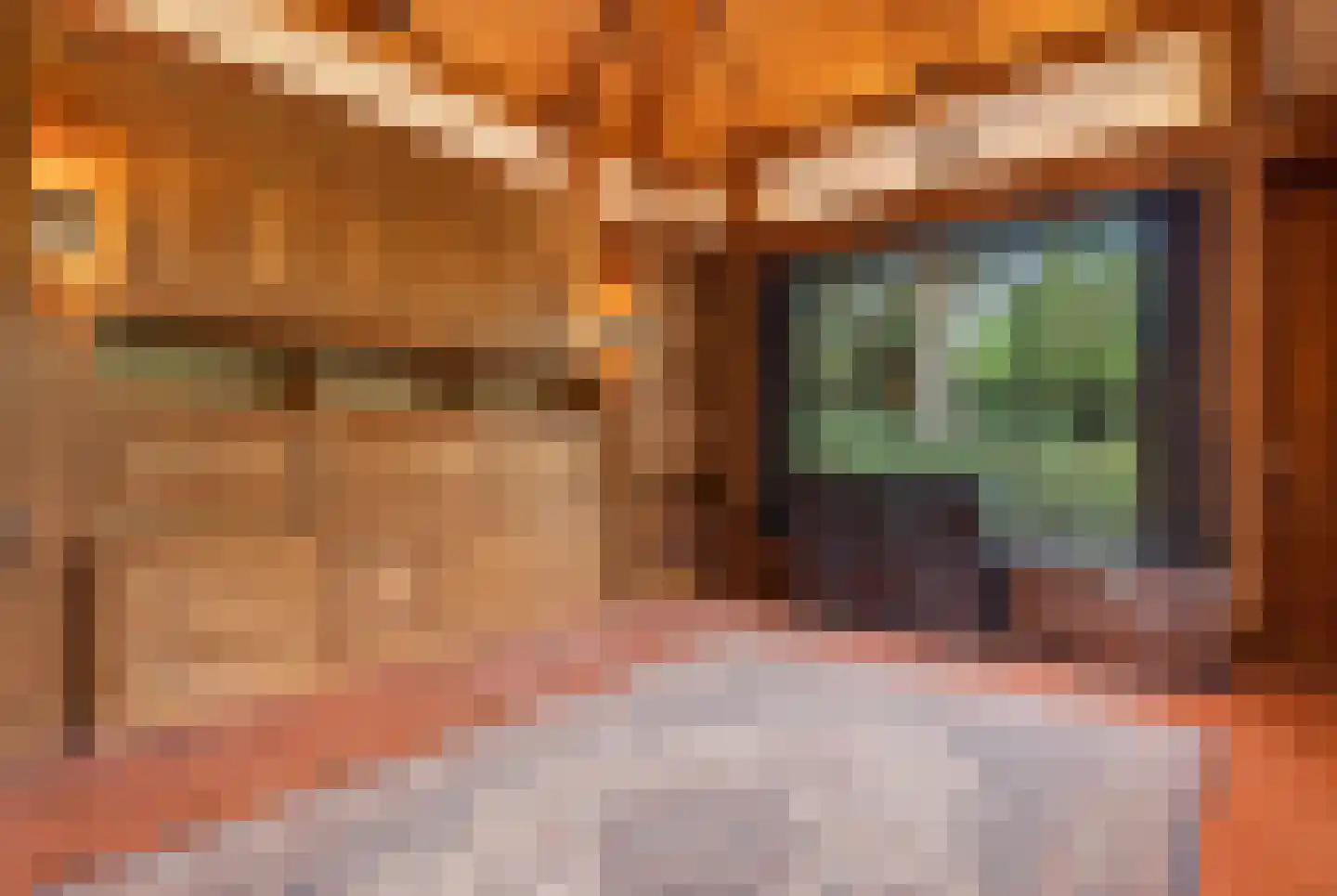 Prins Constantijnlaan 1 Waalre thumbnail 12
