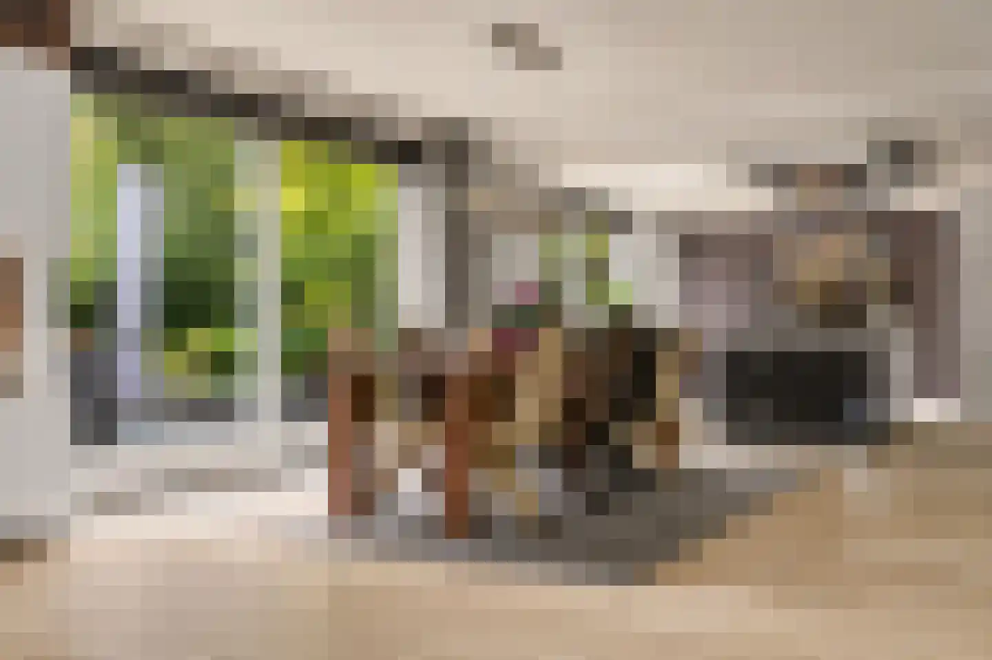 Prins Constantijnlaan 1 Waalre thumbnail 14