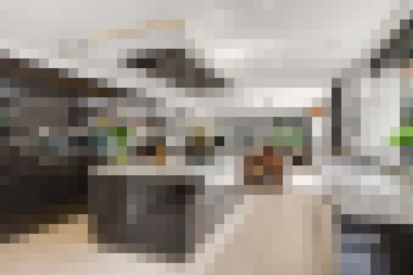 Prins Constantijnlaan 1 Waalre thumbnail 18