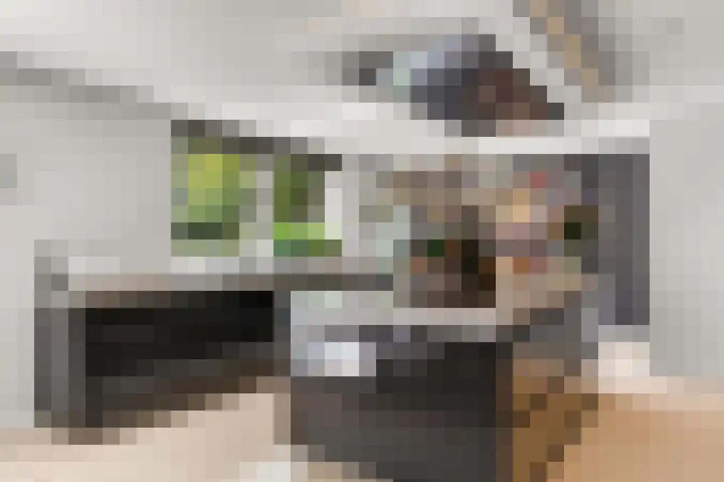Prins Constantijnlaan 1 Waalre foto 2