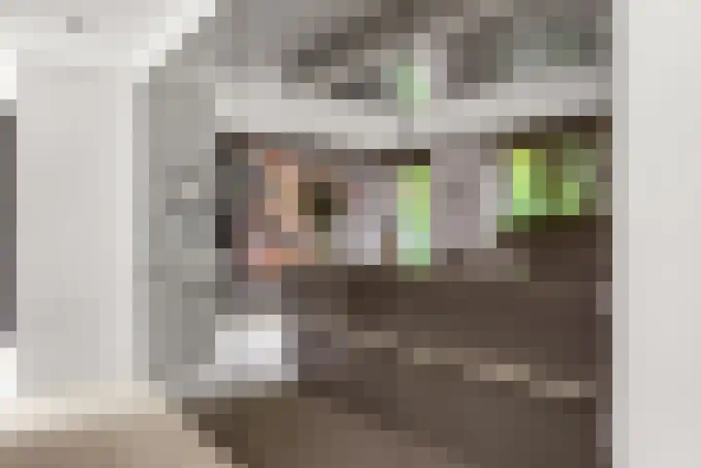 Prins Constantijnlaan 1 Waalre thumbnail 20