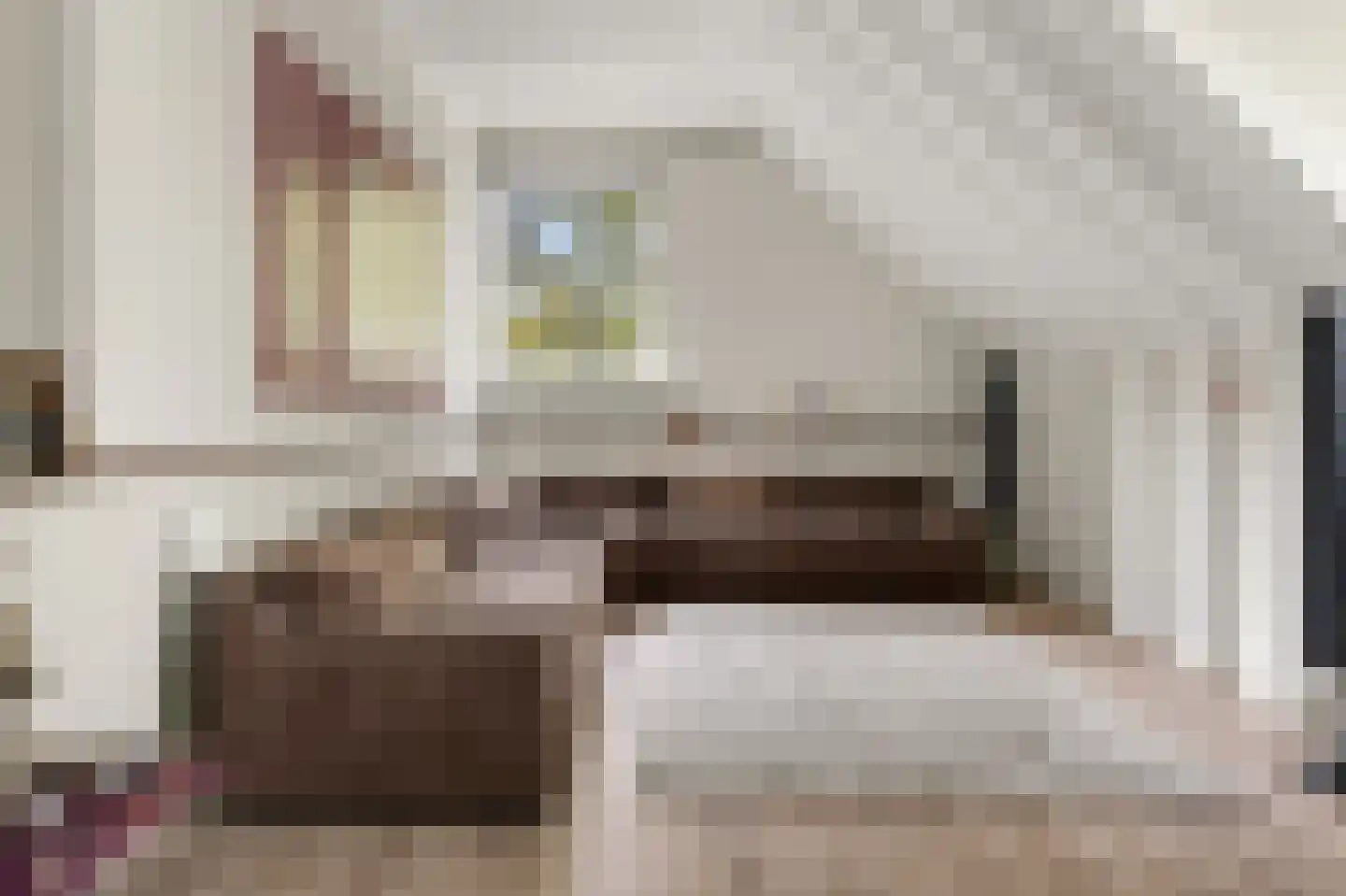 Prins Constantijnlaan 1 Waalre thumbnail 25