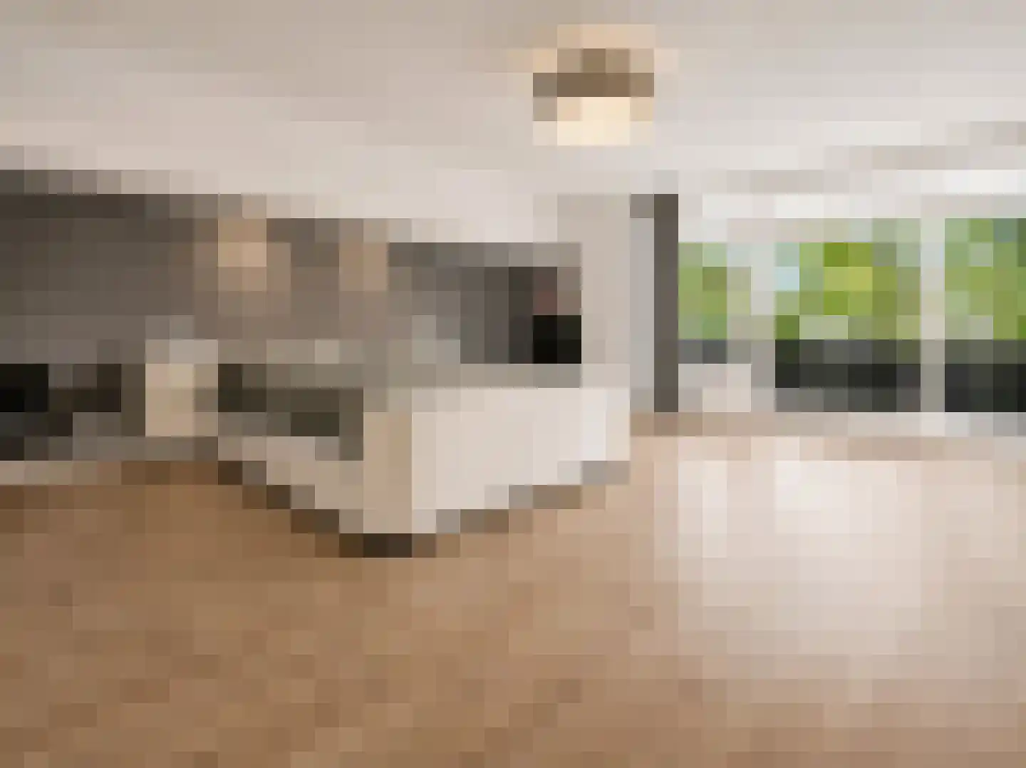 Prins Constantijnlaan 1 Waalre thumbnail 28