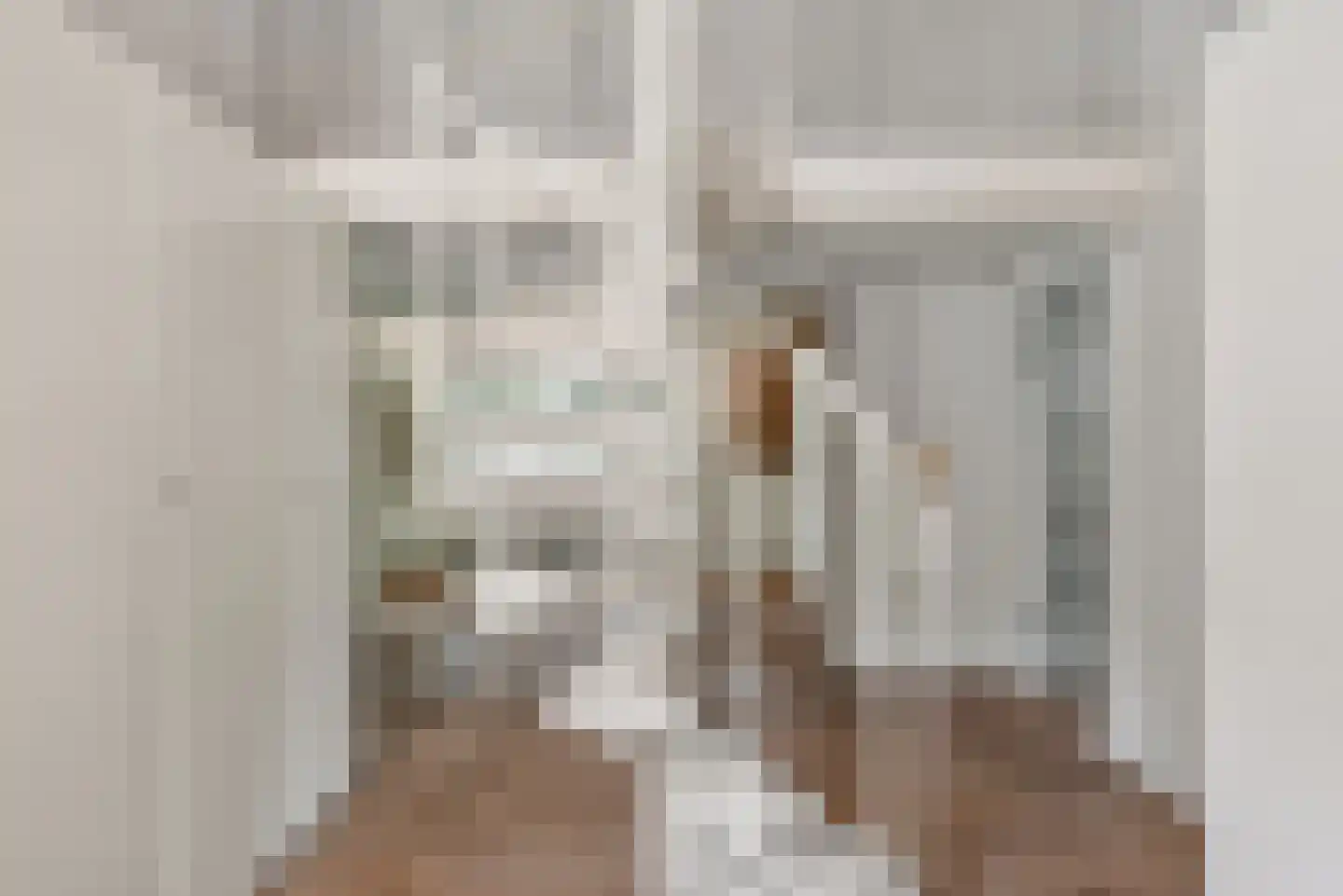 Prins Constantijnlaan 1 Waalre thumbnail 34