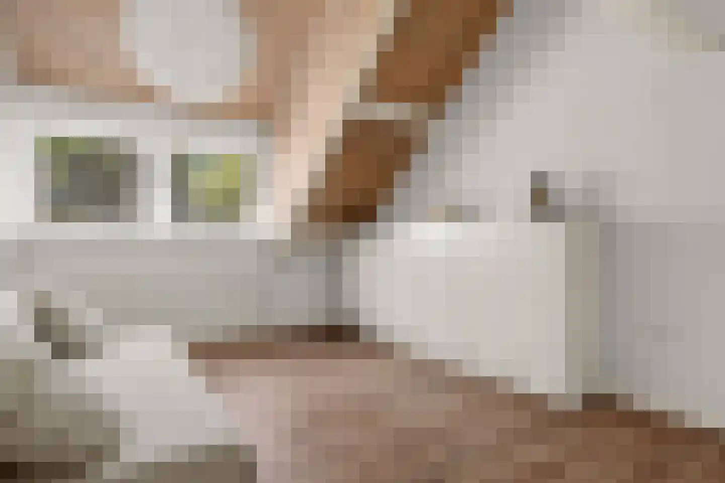 Prins Constantijnlaan 1 Waalre thumbnail 35