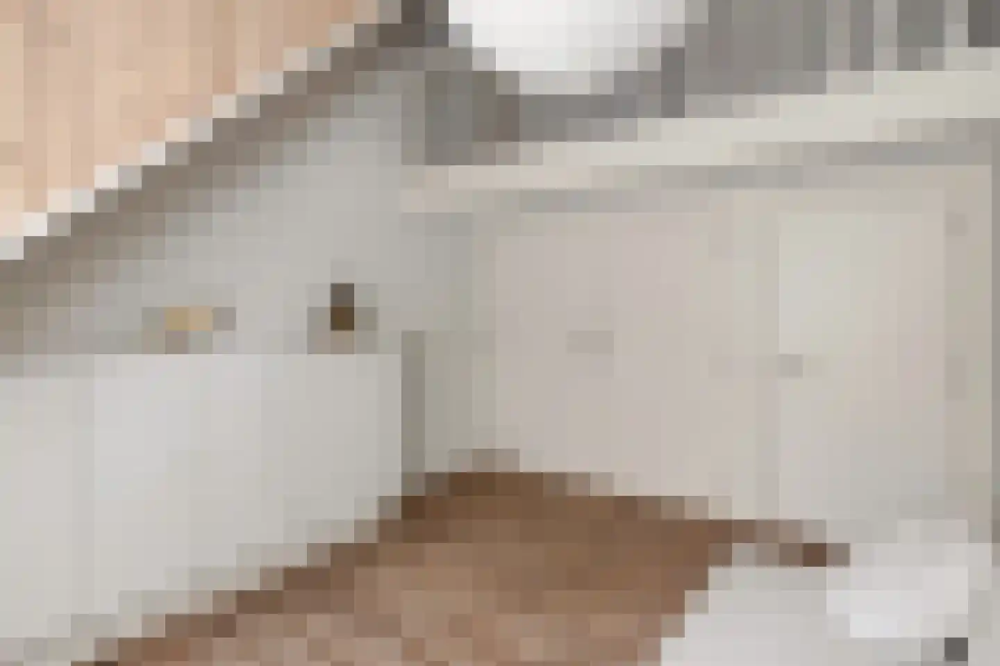 Prins Constantijnlaan 1 Waalre thumbnail 36