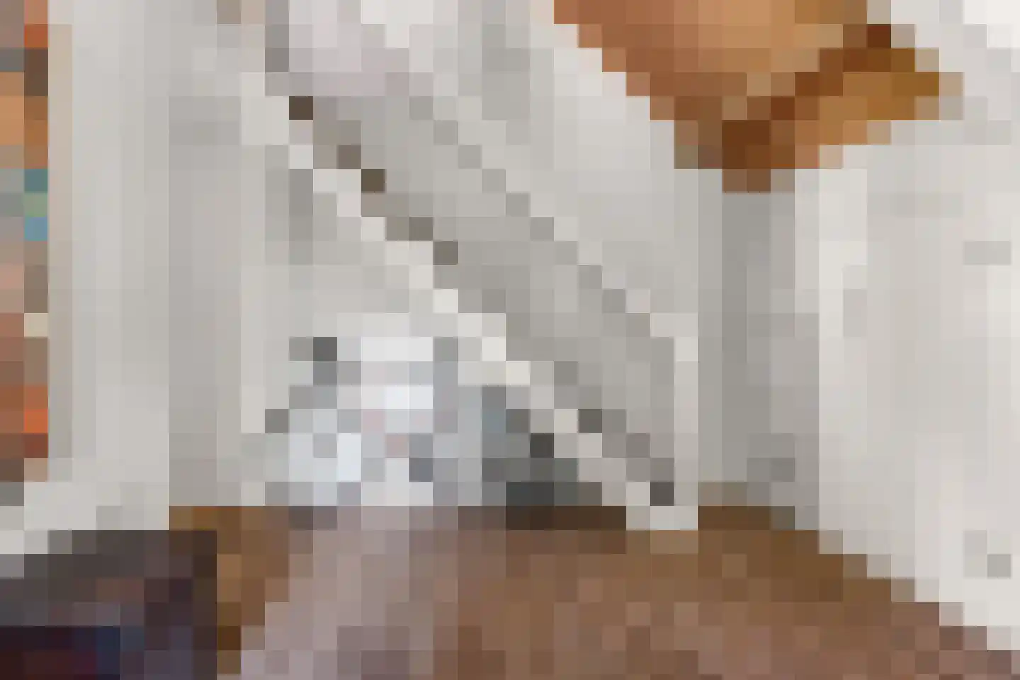 Prins Constantijnlaan 1 Waalre thumbnail 37