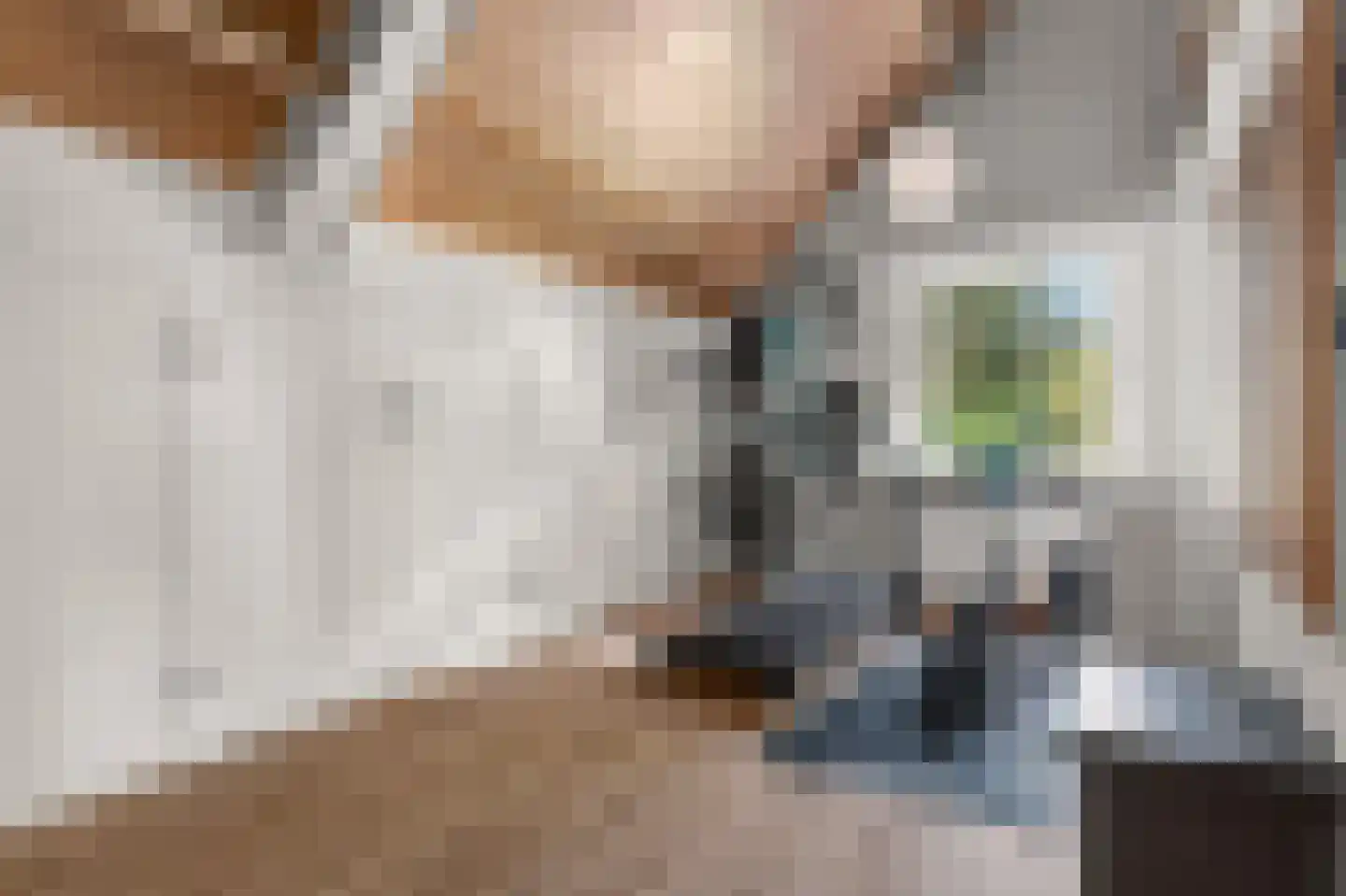 Prins Constantijnlaan 1 Waalre thumbnail 38
