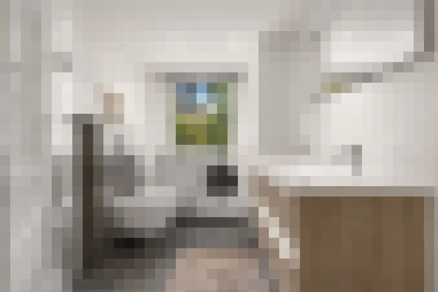 Prins Constantijnlaan 1 Waalre thumbnail 39