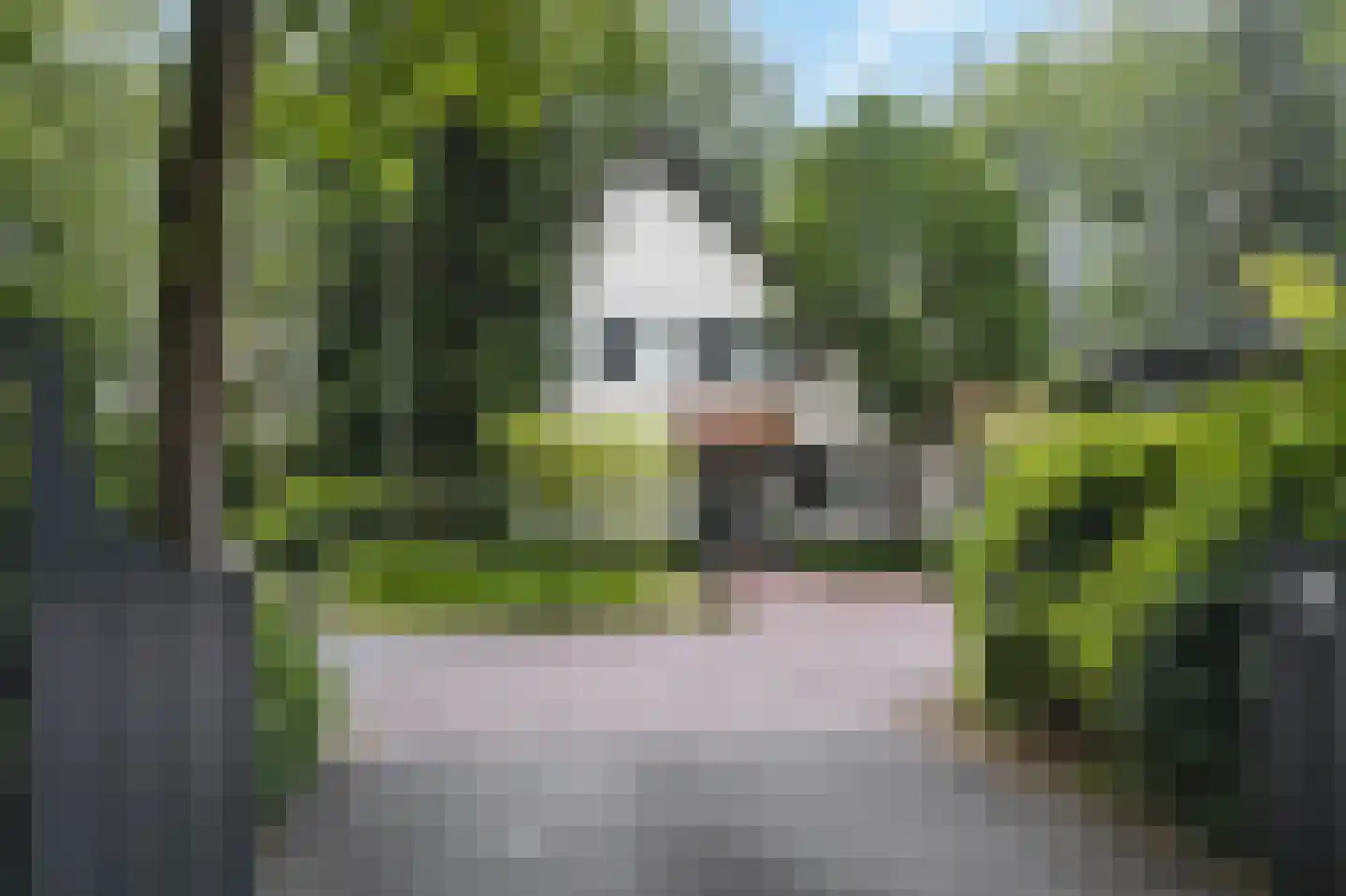 Prins Constantijnlaan 1 Waalre thumbnail 4