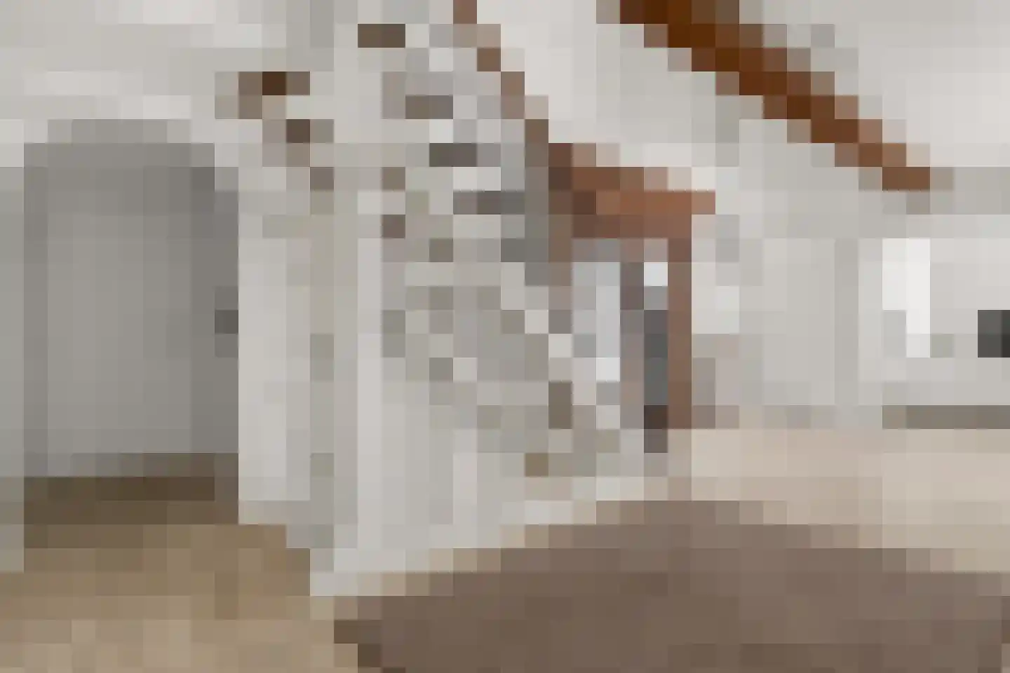 Prins Constantijnlaan 1 Waalre thumbnail 43