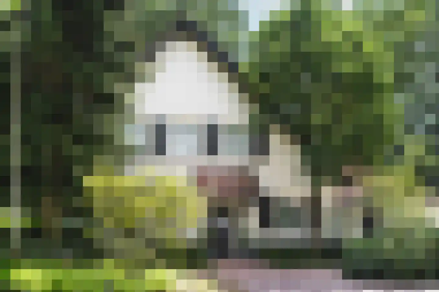 Prins Constantijnlaan 1 Waalre thumbnail 45