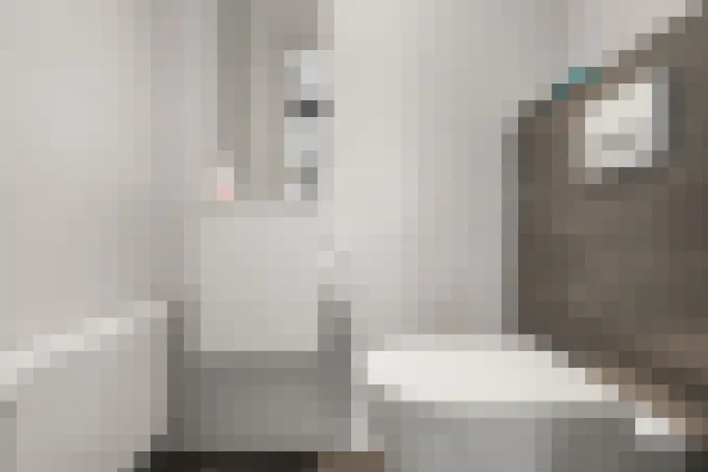 Prins Constantijnlaan 1 Waalre thumbnail 47