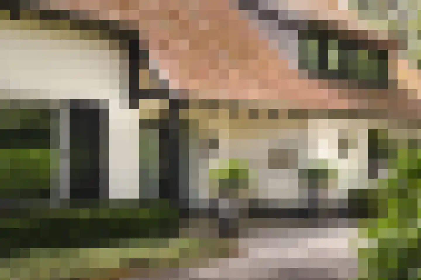 Prins Constantijnlaan 1 Waalre thumbnail 5