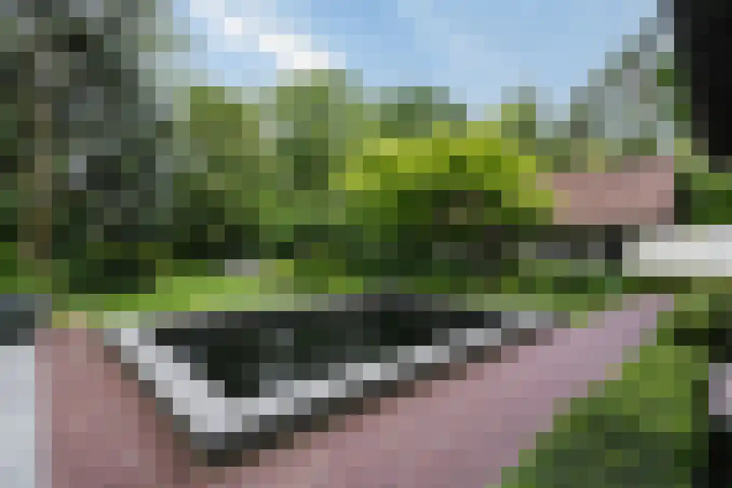 Prins Constantijnlaan 1 Waalre thumbnail 52