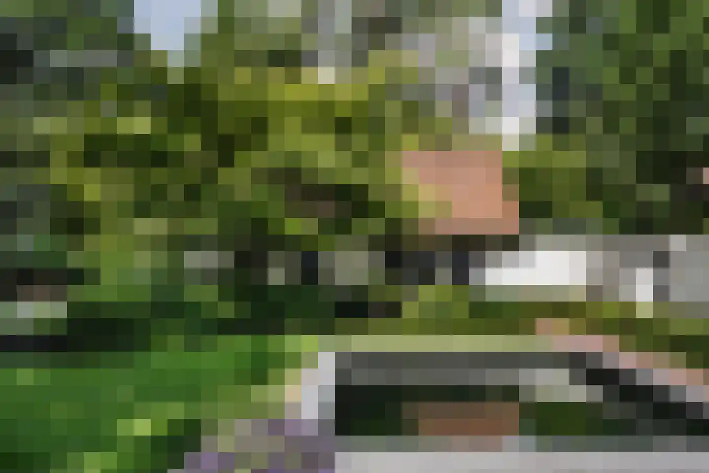 Prins Constantijnlaan 1 Waalre thumbnail 53