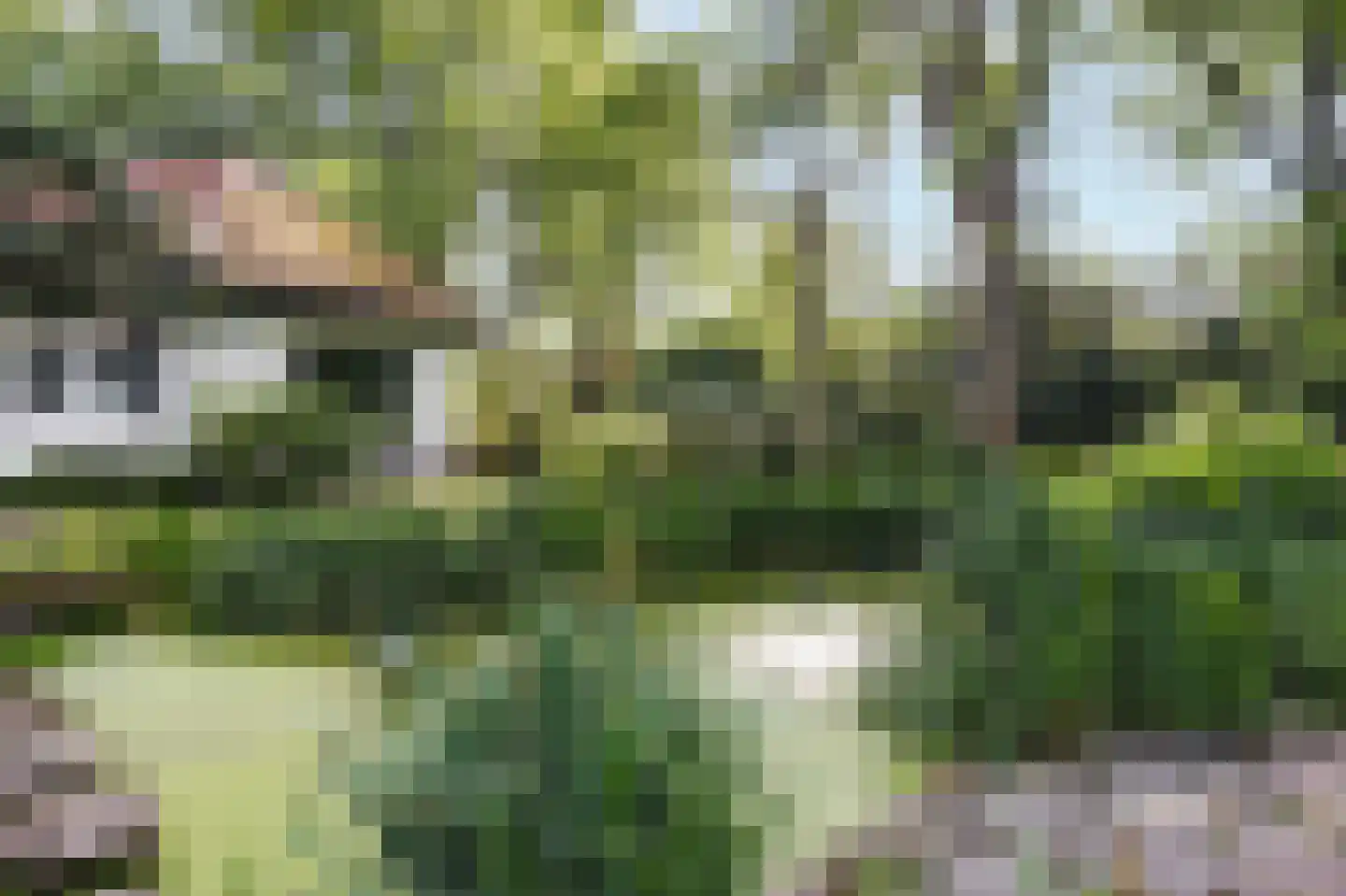 Prins Constantijnlaan 1 Waalre thumbnail 55