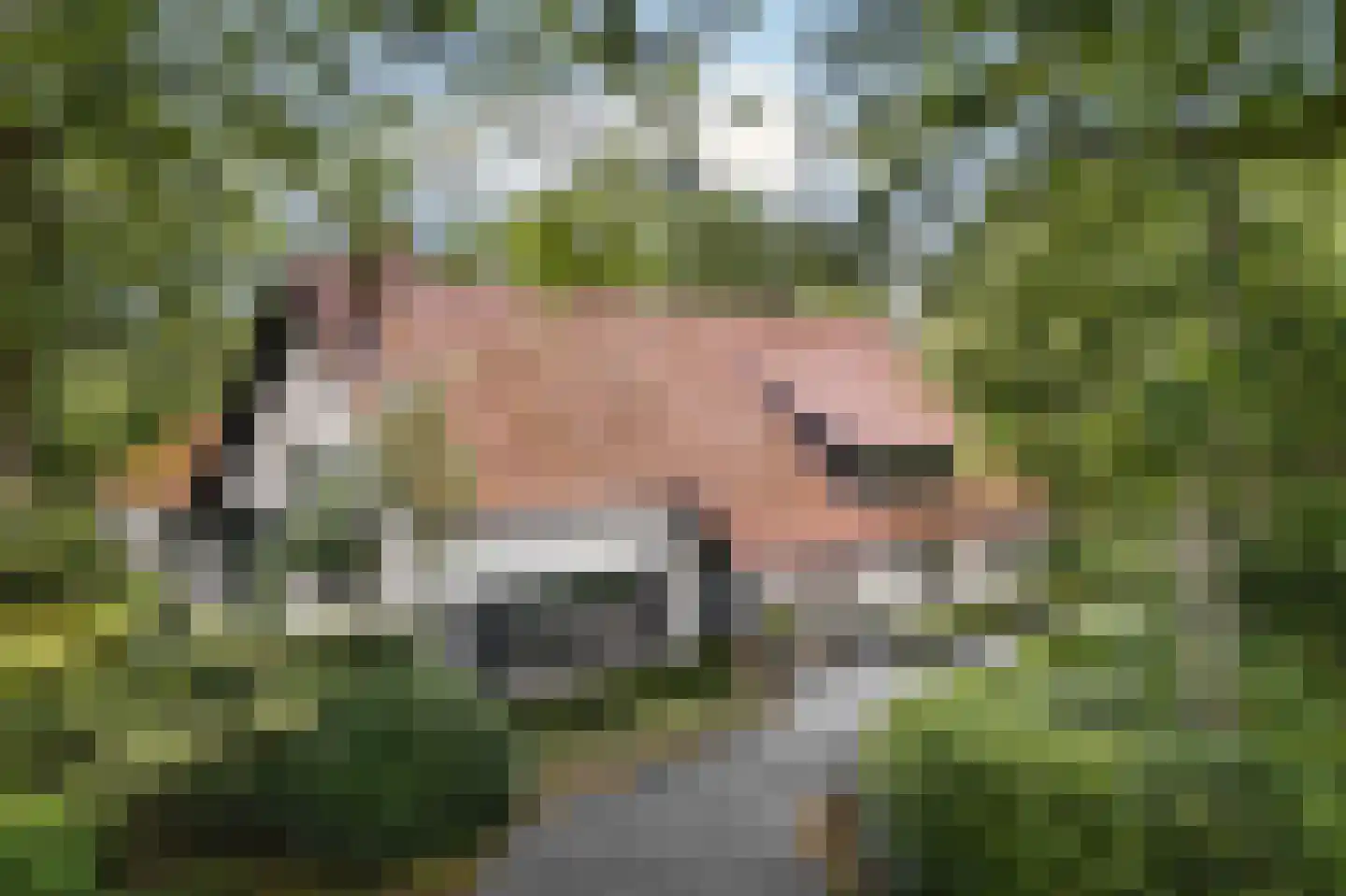 Prins Constantijnlaan 1 Waalre thumbnail 58