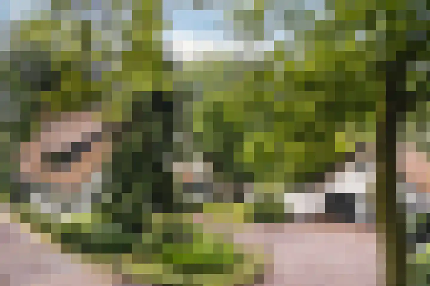 Prins Constantijnlaan 1 Waalre thumbnail 61