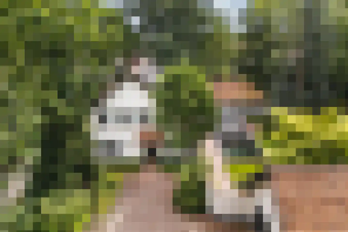 Prins Constantijnlaan 1 Waalre thumbnail 62