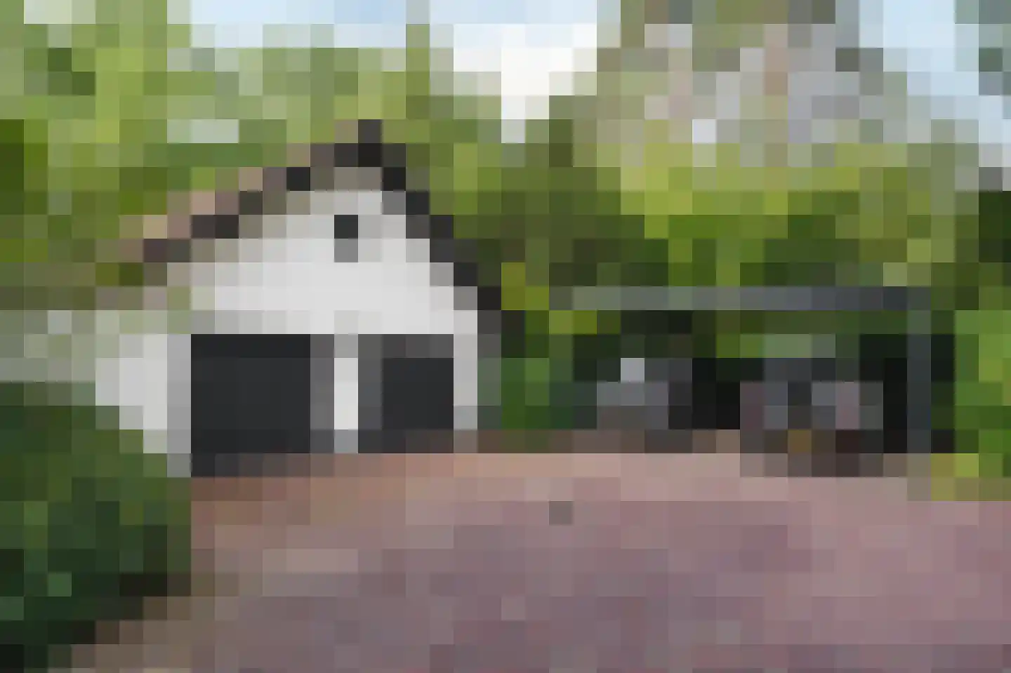Prins Constantijnlaan 1 Waalre thumbnail 63